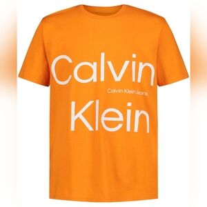 Calvin Klein Big Boys Rugged Short Sleeve T-shirt